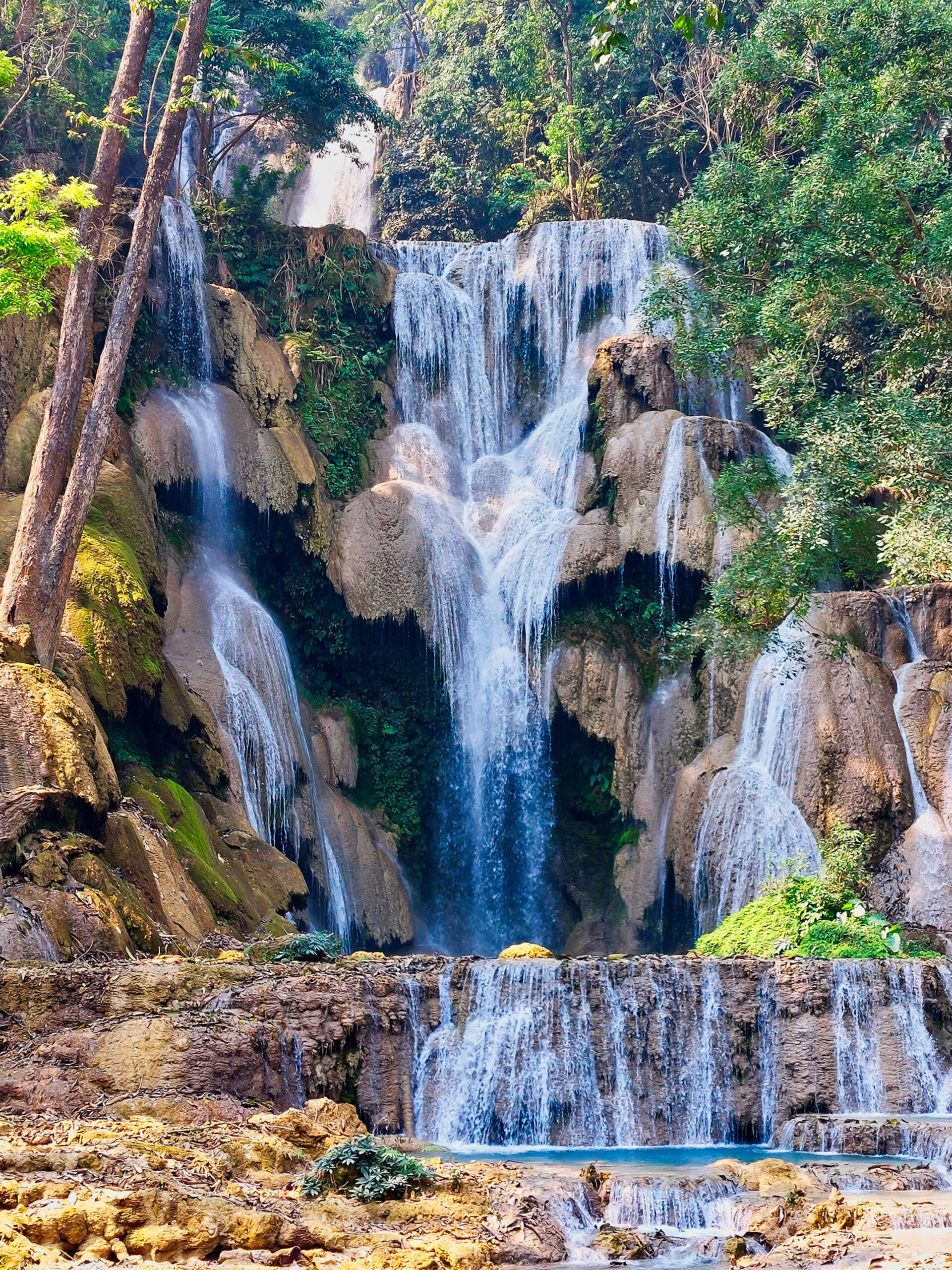 ギャラリー画像 1